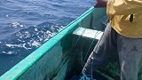 渔民出海钓鱼，钓到大海货，不是一般人吃得起的
