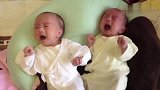 双胞胎婴儿躺一起手足无措哭泣，这明显是饿了要吃奶的节奏