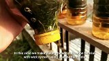 塑料瓶回收，这样的菜园子你也能做到！