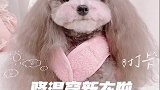 今天降温了孩子都冷的发抖了