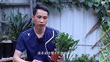 刚买的蟹爪兰，多数人会做错两点，难怪养不好