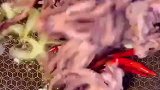 红烧麻辣鱿鱼须