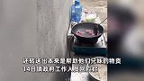 泪目！父母双亡19岁哥哥辍学抚养妹妹，用妈妈生前留下的猪油炒菜