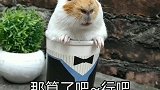 以为是王者，结果是个青铜