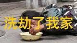 故事给了乞丐一个馒头，乞丐第2天带人洗劫我家，我却感动落泪