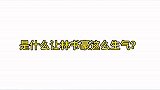 听说韦神把书豪惹生气了这究竟是怎么一回事