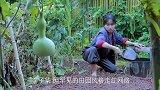 李子柒登央视出击!对资本黑手亮出“三大利剑”,白岩松做出点评