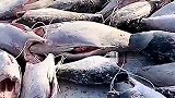 这是机关吗？研究一下