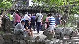 国外老奶奶无家可归，捡来的塑料瓶建造房屋，之后收获意外惊喜