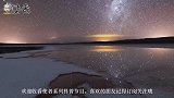 活了2亿年的生物，逃过了5次大灭绝，最后却被人类用来喂鸡