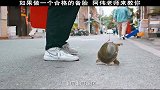 撩妹技巧我只跟纯情阿伟老师学习，招招致命，谁学谁废！
