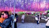 这是哪儿！天堂啊，太美啦！