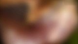 男子发现怪异蛇头被吓坏得知真相后惊讶不已