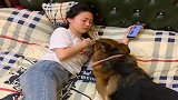 女主人咳嗽捶下胸口，德牧担心主人打疼自己，赶紧阻止