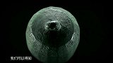 根据珍藏的铜权记录，自公元前221年开始，秦王名称已改为皇帝