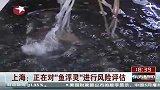 上海正在对鱼浮灵进行风险评估