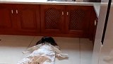 爸爸把小情人惹怒了，接下来小情人的反应，这可捅了马蜂窝了！