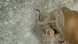 面粉上写字是真的牛啊，明人不说暗话，这么漂亮的字很难写的哦！