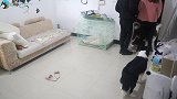 主人不在家一小时，看看哈士奇都拆了些啥？