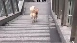 坐电梯坐上瘾了