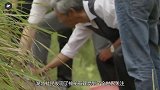 湖北村民发现神秘石碑，被全世界关注，韩国专家：不可能