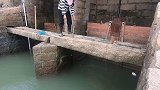 妹子在闸门口撒诱饵引来鱼群，大货咬钩直接冲出水面，太刺激了