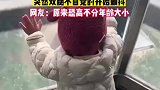 萌娃坐观光电梯看风景，突然双腿不自觉的开始颤抖