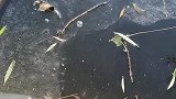 水缸的周围结了一层冰，女子捞起后摔在地上