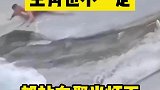 主角也不一定都站在聚光灯下
