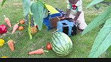 小猴子比比玩极限飞车，意外收获满车新鲜瓜果