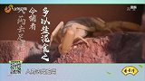 大医本草堂-20191015-“小结节，大危机”中医药的瑰宝：动物药