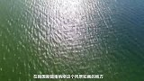 新疆一湖泊发现“水怪”，专家设陷阱等它上钩，结果震惊了学术界