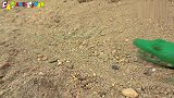 挖掘机警车寻找鳄鱼玩具(1)