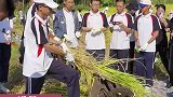 学生来到农田进行劳动实践，帮村民打谷子体验丰收