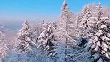 我来自新疆雪山的丫头子