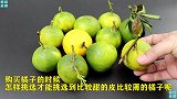橘子是甜还是酸？教你一招辨别，买到的橘子又甜皮又薄，看看