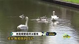 牛人英国模特厌倦租房生活，竟买一艘船改造成房子居住