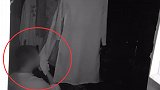 看了发毛！男子潜入女员工宿舍偷衣物 还放到嘴边闻