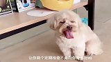 好汉不吃眼前亏，演的那是淋漓尽致