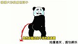 爆笑沙雕动画：五龙村的武林大会《最终章》