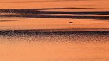 醉美新疆—夕阳西下