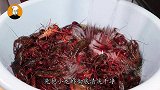 龙虾一过季节就没得吃了，私藏保存妙招告诉你，放半年不会坏！