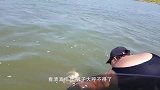 男子捕获大鱼，正准备剥开鱼肚煮着吃，不料竟然发现宝贝