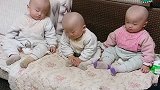 三胞胎兄弟一起打盹，看十次笑十次，这到底有多困