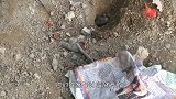 一个不起眼的土洞， 本来以为里面藏着的是老鼠