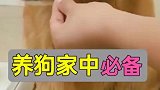 你还知道养狗要准备哪些东西吗？