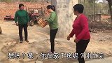 农村婆婆上树摘香椿，不料婆婆闹出大笑话，儿媳一旁笑弯了腰