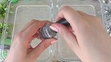 用指甲油、史莱姆、眼线笔给透泰染色，无硼砂，好好玩