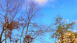 这场雨晚来了三天，这蓝天也迟到了三天，哎～～