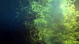 最恐怖“杀人湖”，一夜之间夺走近2千人性命，专家终于揪出凶手